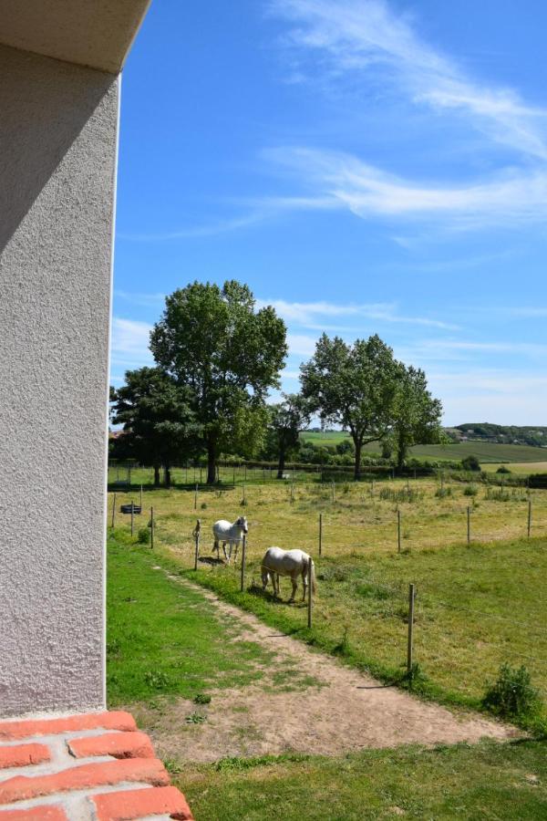 Le Clos De L'Angley Gites Et Ecurie Caffiers 외부 사진