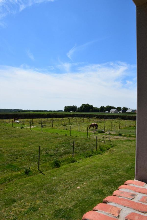 Le Clos De L'Angley Gites Et Ecurie Caffiers 외부 사진